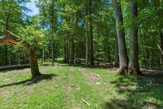 58501 US Highway 50, Mcarthur, OH 45651 - photo 64