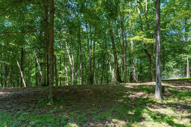 58501 US Highway 50, Mcarthur, OH 45651 - photo 65