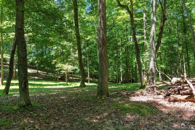 58501 US Highway 50, Mcarthur, OH 45651 - photo 66