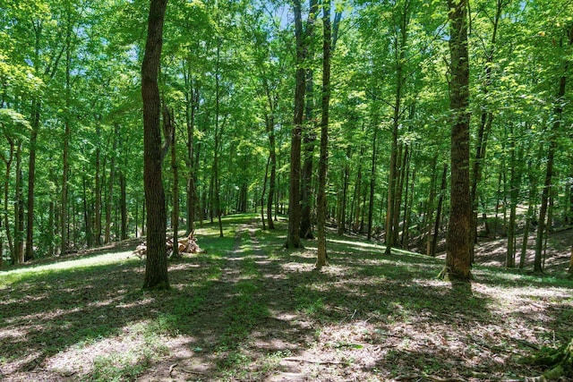 58501 US Highway 50, Mcarthur, OH 45651 - photo 68