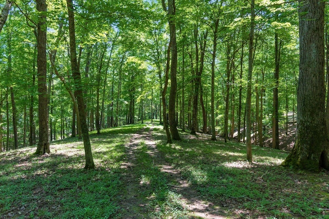 58501 US Highway 50, Mcarthur, OH 45651 - photo 69