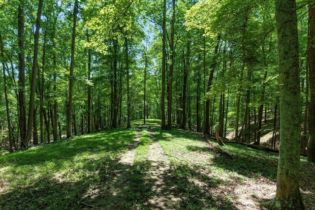 58501 US Highway 50, Mcarthur, OH 45651 - photo 71