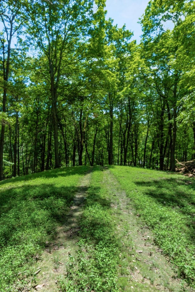58501 US Highway 50, Mcarthur, OH 45651 - photo 72
