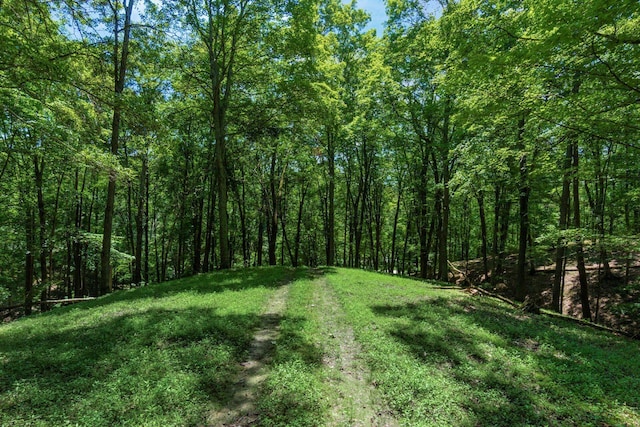 58501 US Highway 50, Mcarthur, OH 45651 - photo 73