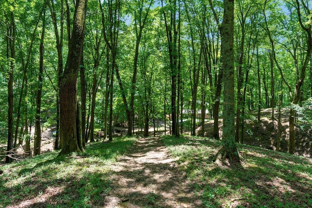 58501 US Highway 50, Mcarthur, OH 45651 - photo 75