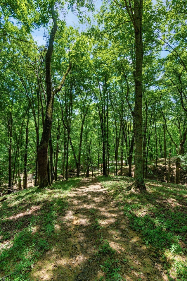 58501 US Highway 50, Mcarthur, OH 45651 - photo 76