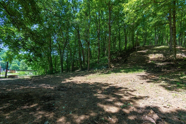 58501 US Highway 50, Mcarthur, OH 45651 - photo 78