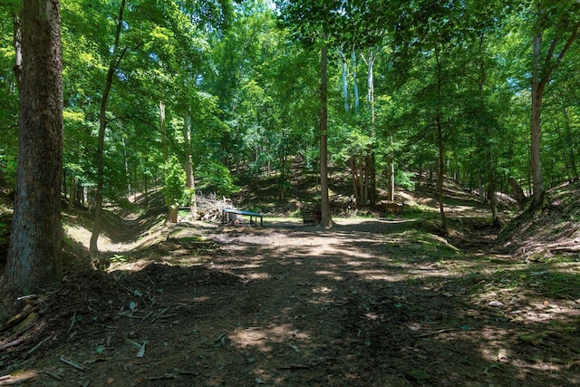 58501 US Highway 50, Mcarthur, OH 45651 - photo 79
