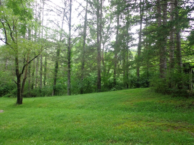 7495 Sugar Grove Rd SE, Sugar Grove, OH 43155 - photo 5