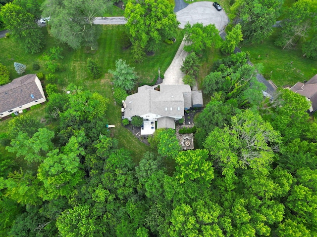 7832 Country Brook Ln, Reynoldsburg, OH 43068 - photo 53