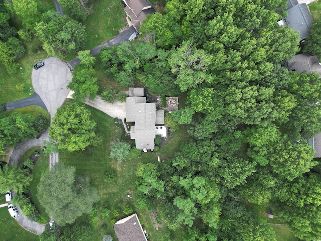 7832 Country Brook Ln, Reynoldsburg, OH 43068 - photo 58