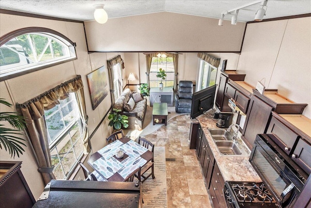 10950 Cherokee Dr Unit 59, Lakeview, OH 43331 - living area featuring vaulted ceiling, a textured ceiling, light stone finish floors, and track lighting
