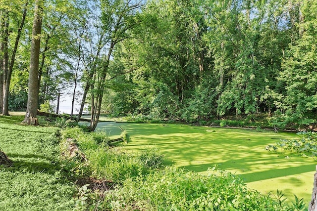 10950 Cherokee Dr Unit 59, Lakeview, OH 43331 - view of yard