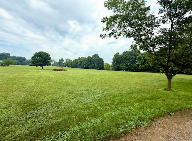 13944 Lafayette Rd, Utica, OH 43080 - view of green lawn