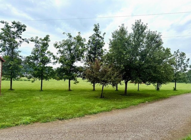 13944 Lafayette Rd, Utica, OH 43080 - view of road
