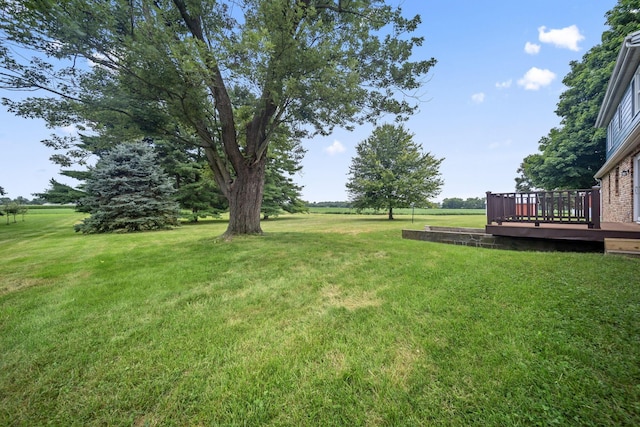 4817 N River Rd, Springfield, OH 45502 - photo 30