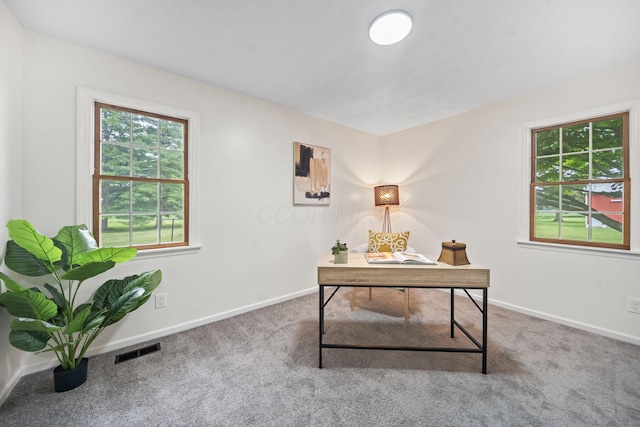 4817 N River Rd, Springfield, OH 45502 - photo 21