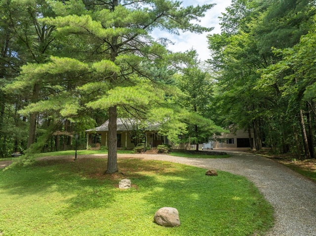 7625 Dusty Pines Dr, Galena, OH 43021 - photo 48