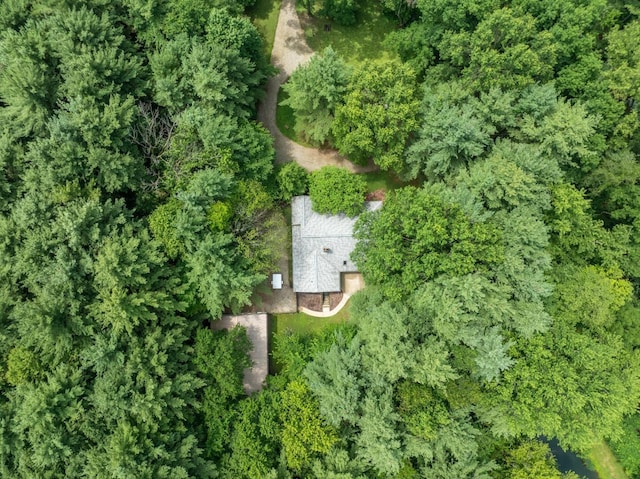 7625 Dusty Pines Dr, Galena, OH 43021 - photo 34