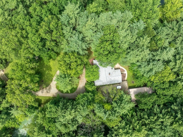 7625 Dusty Pines Dr, Galena, OH 43021 - photo 35