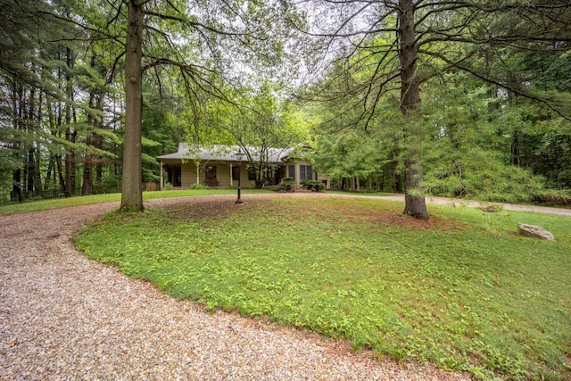 7625 Dusty Pines Dr, Galena, OH 43021 - photo 47