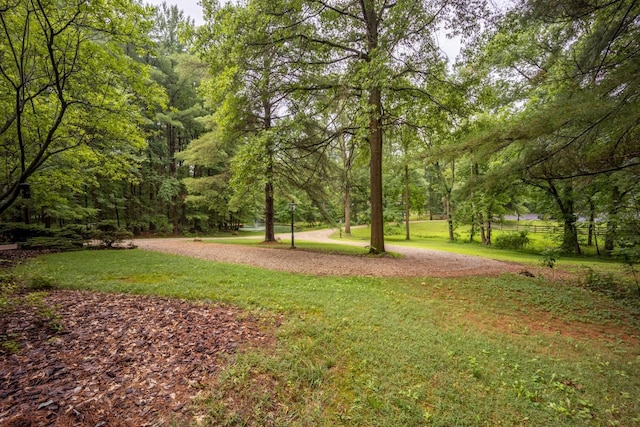 7625 Dusty Pines Dr, Galena, OH 43021 - photo 49