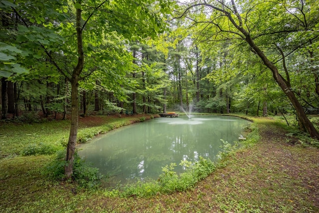 7625 Dusty Pines Dr, Galena, OH 43021 - photo 45