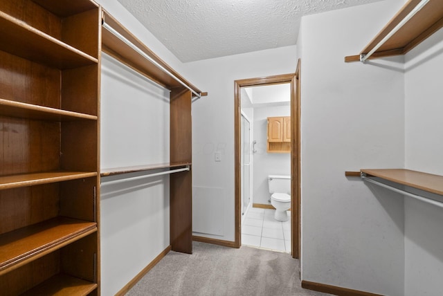 1280 Gemstone Sq W, Westerville, OH 43081 - walk in closet with carpet and tile patterned floors