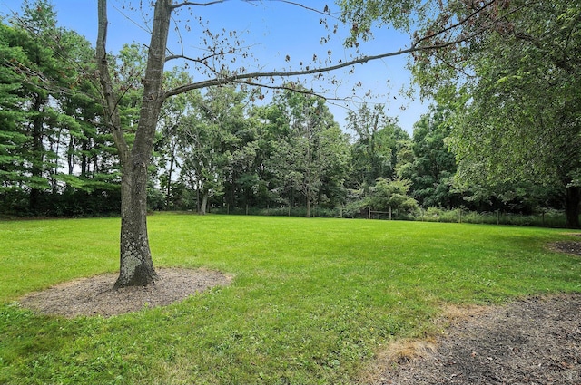 8430 Schleppi Rd, Westerville, OH 43081 - photo 69