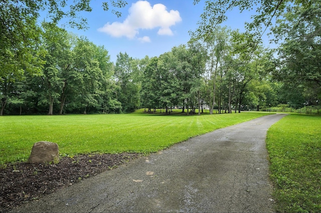 8430 Schleppi Rd, Westerville, OH 43081 - photo 3