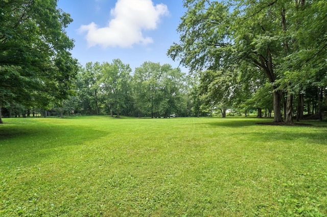 8430 Schleppi Rd, Westerville, OH 43081 - photo 74