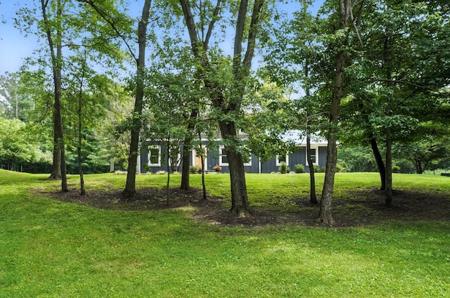 8430 Schleppi Rd, Westerville, OH 43081 - photo 4