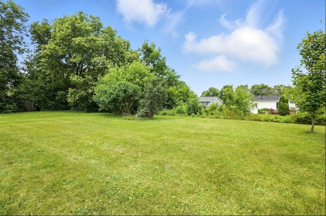24 W High St, Jeffersonville, OH 43128 - view of grassy yard