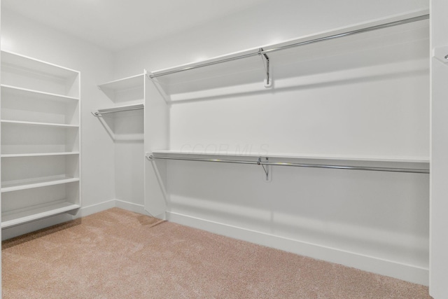 3175 Briarwood Ln, Lewis Center, OH 43035 - photo 52