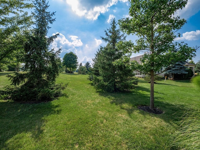 5945 Roundstone Pl, Dublin, OH 43016 - photo 53