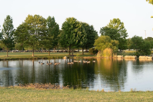 5945 Roundstone Pl, Dublin, OH 43016 - photo 65