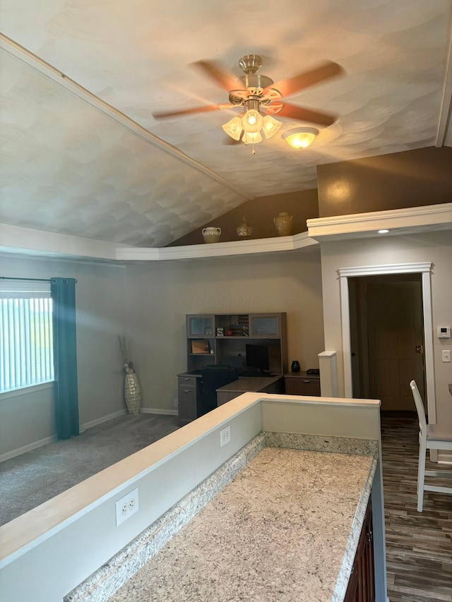 5356 Harding Hwy E, Caledonia, OH 43314 - kitchen featuring a ceiling fan, lofted ceiling, and light countertops