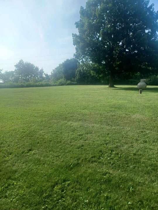 5356 Harding Hwy E, Caledonia, OH 43314 - view of green lawn