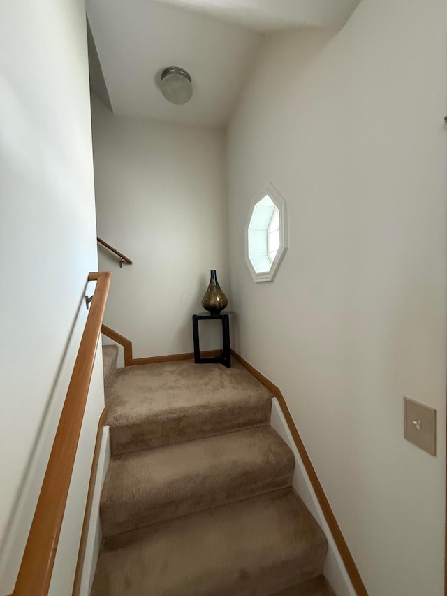 4283 Shortleaf Ln, Grove City, OH 43123 - photo 15