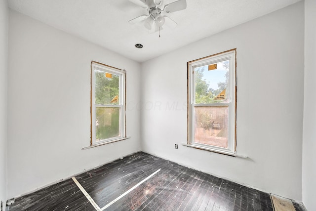 299 N High St, Chillicothe, OH 45601 - photo 23