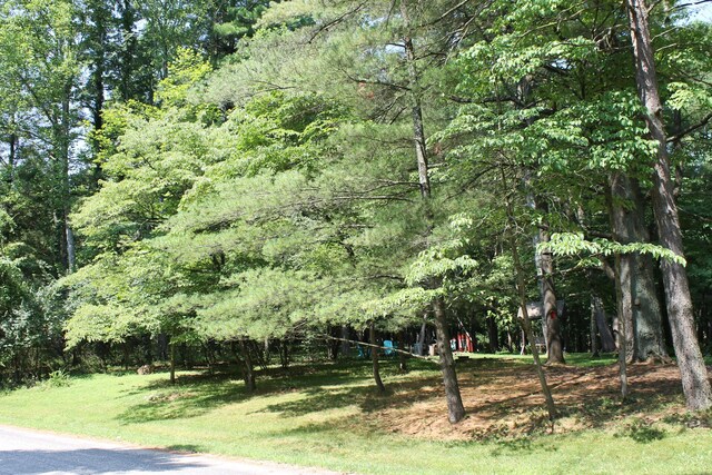 ReserveA Osage Lane, Hide A Way Hills, OH 43107 - photo 3