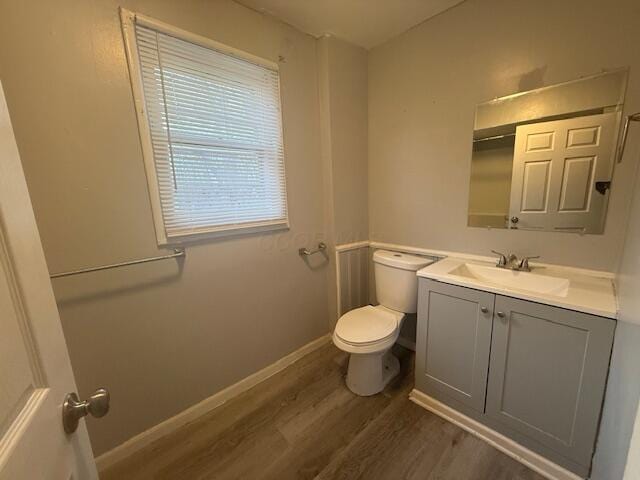 bathroom featuring wood finished floors and vanity
