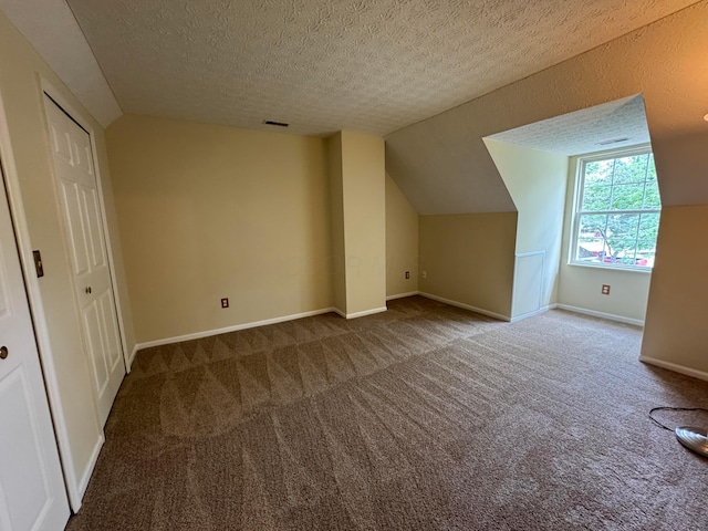 6282 Mcnaughten Place Ln Unit 39, Columbus, OH 43213 - bonus room with lofted ceiling, carpet flooring, and a textured ceiling