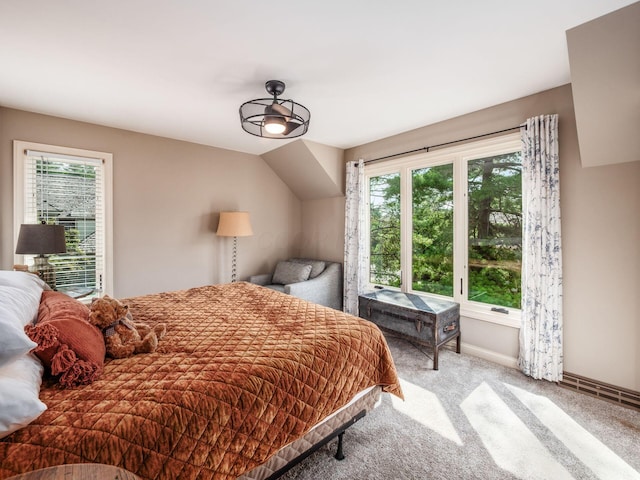 5767 Loch Maree Ct, Dublin, OH 43017 - bedroom with multiple windows and carpet flooring