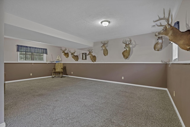 10410 Rich Hollow Rd SW, Lancaster, OH 43130 - photo 41