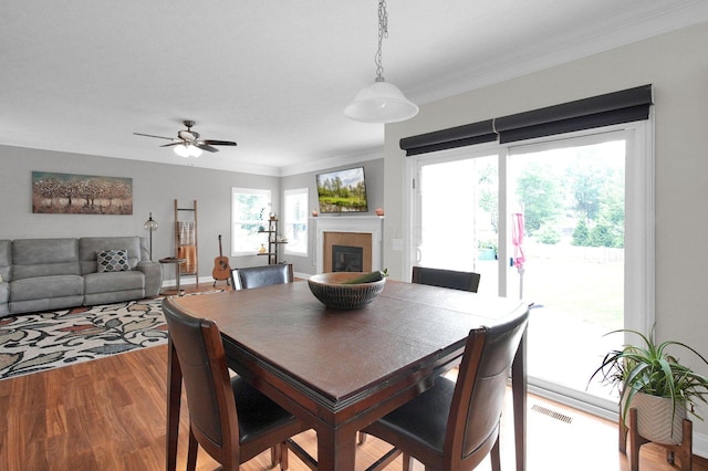 440 Steeplechase St, Delaware, OH 43015 - photo 11