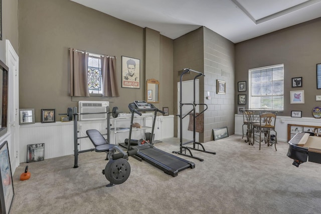 131 E Chestnut St, Lancaster, OH 43130 - exercise room with carpet floors