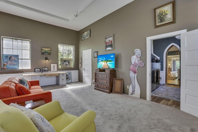 131 E Chestnut St, Lancaster, OH 43130 - carpeted living area featuring arched walkways