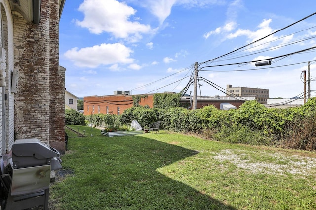 131 E Chestnut St, Lancaster, OH 43130 - view of grassy yard
