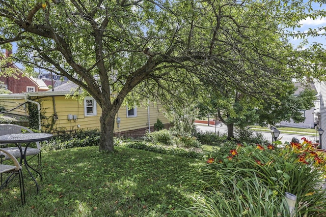 131 E Chestnut St, Lancaster, OH 43130 - view of yard